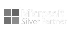 Microsoft partner copie